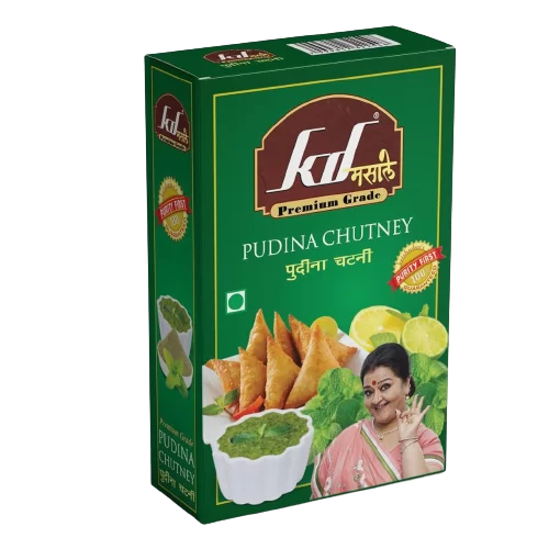 Pudina Chatni Powder